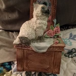 Cat music box